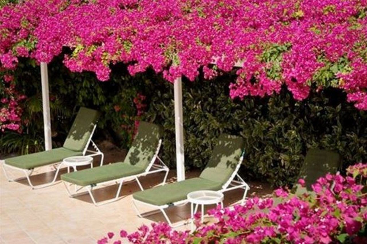 Trade Winds Hotel Dickenson Bay Exterior photo